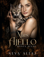 Mrs Aleijo (Perfectly Imperfect 5.6).epub